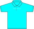 Polo sky blue 1